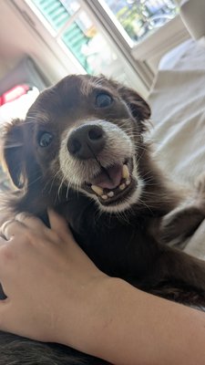 ВедьминДом