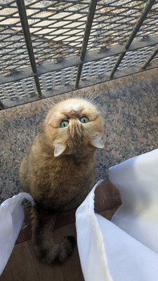 ВедьминДом
