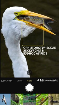 Природные экскурсии и туры