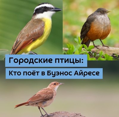 Природные экскурсии и туры